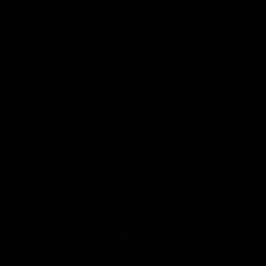 Meet your Posher, Troy